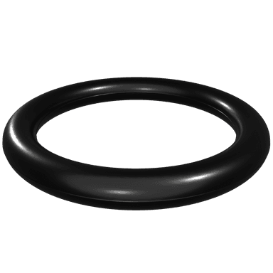 o-ring