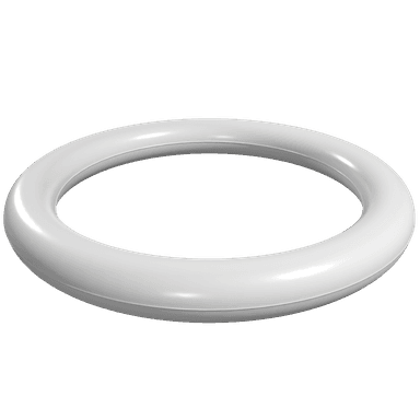 o-ring